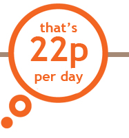 that's 22p per day!
